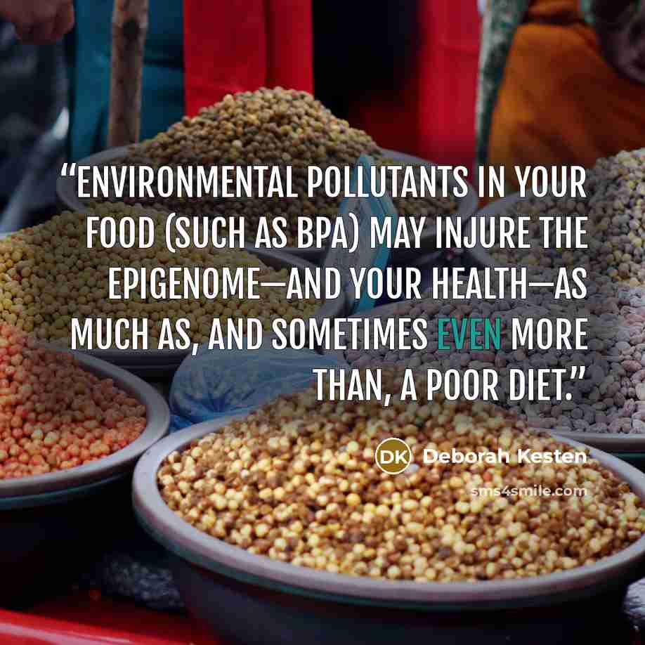 “environmental pollutants in your food (such as BPA) may injure the epigenome—and your health—as much as, and sometimes even more than, a poor diet.” quote by Deborah Kesten
