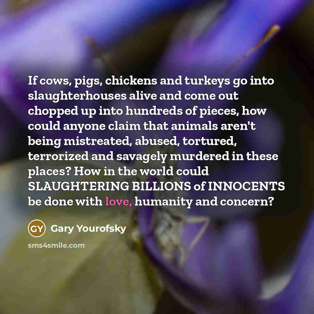 “If cows, pigs, chickens and turkeys go into slaughterhouses alive…” quote by Gary Yourofsky