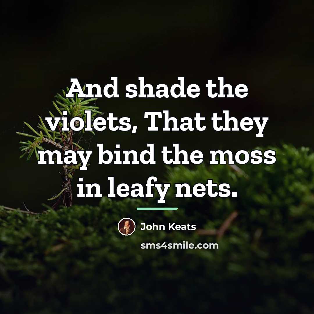 “And shade the violets, That they may bind the moss…” quote by John Keats