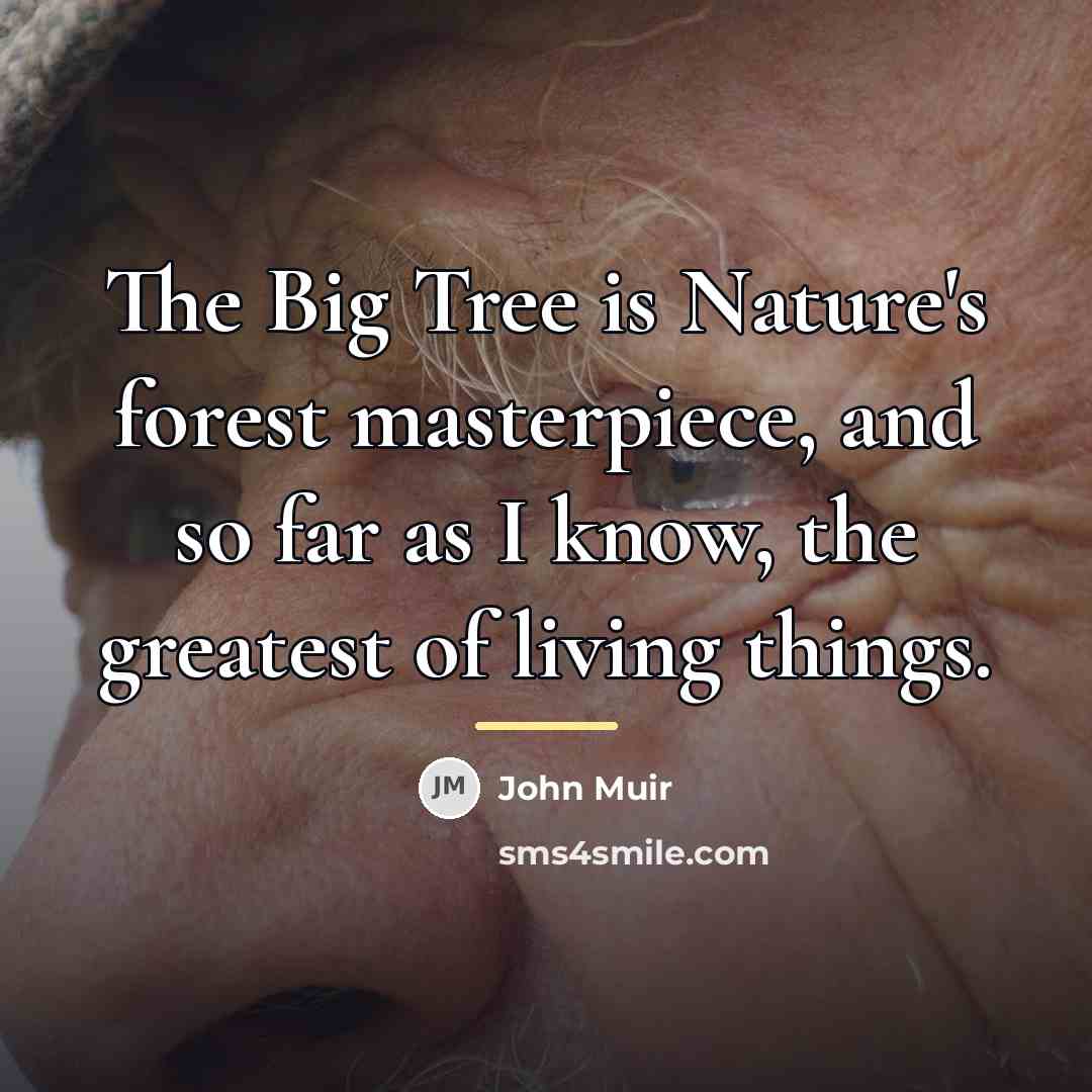 “The Big Tree is Nature's forest masterpiece, and so far…” quote by John Muir