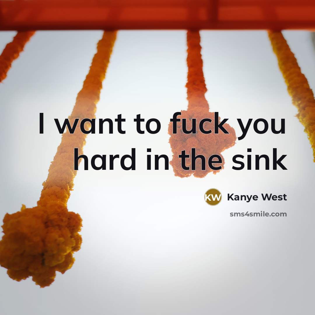 “I want to fuck you hard in the sink…” quote by Kanye West