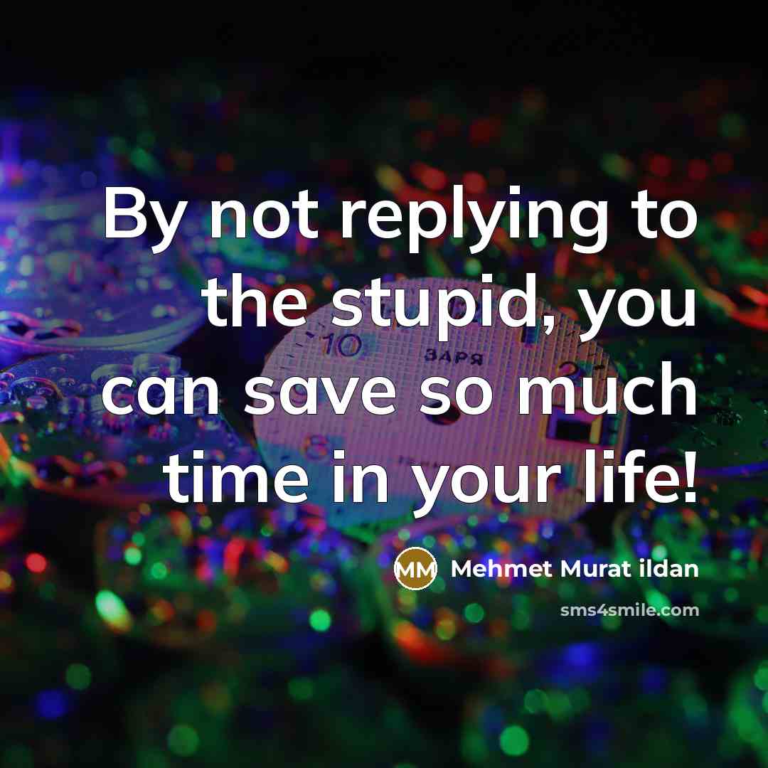 “By not replying to the stupid, you can save so…” quote by Mehmet Murat Ildan
