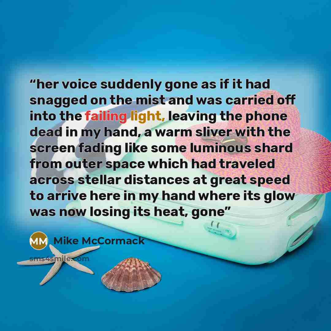 “her voice suddenly gone as if it had snagged on the mist and was carried off into the failing light, leaving the phone dead in my hand, a warm sliver with the screen fading like some luminous shard from outer space which had traveled across stellar distances at great speed to arrive here in my…” quote by Mike McCormack