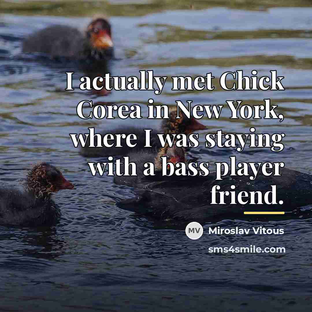 “I actually met Chick Corea in New York, where I…” quote by Miroslav Vitous