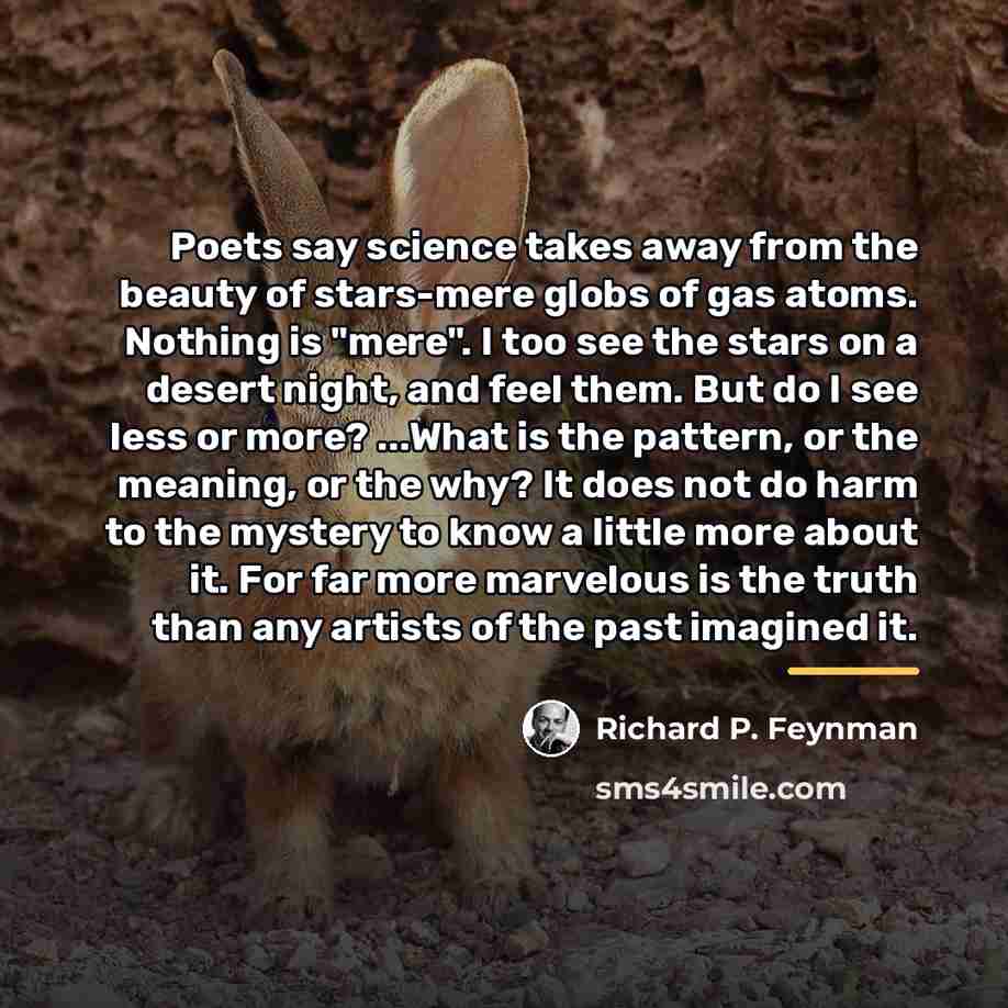 “Poets say science takes away from the beauty of stars-mere…” quote by Richard P. Feynman