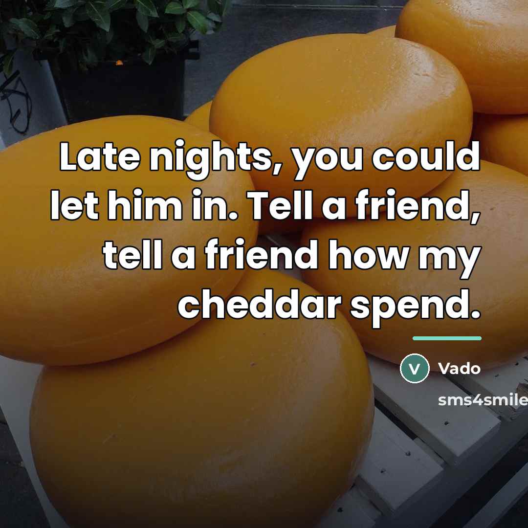 “Late nights, you could let him in. Tell a friend,…” quote by Vado