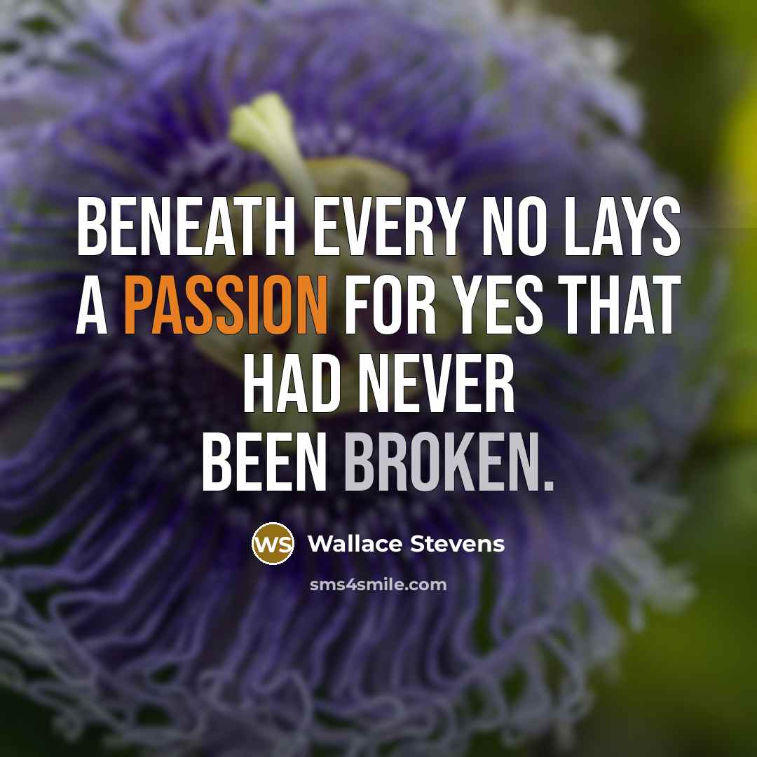 “Beneath every no lays a passion for yes that had…” quote by Wallace Stevens