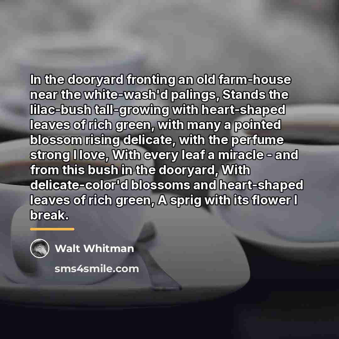 “In the dooryard fronting an old farm-house near the white-wash'd…” quote by Walt Whitman