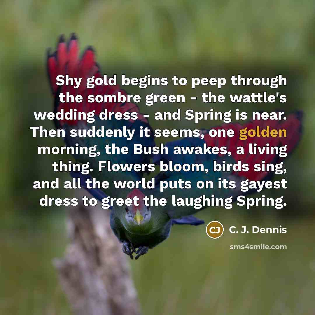 “Shy gold begins to peep through the sombre green -…” quote by C. J. Dennis