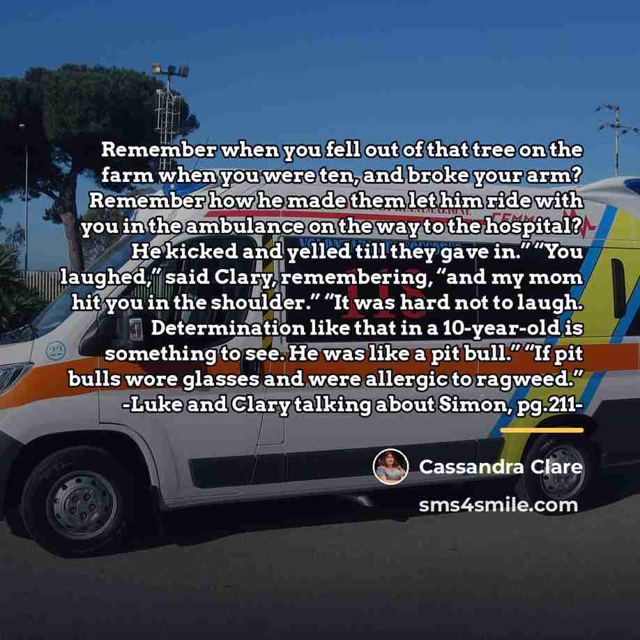 “Remember when you fell out of that tree on the…” quote by Cassandra Clare