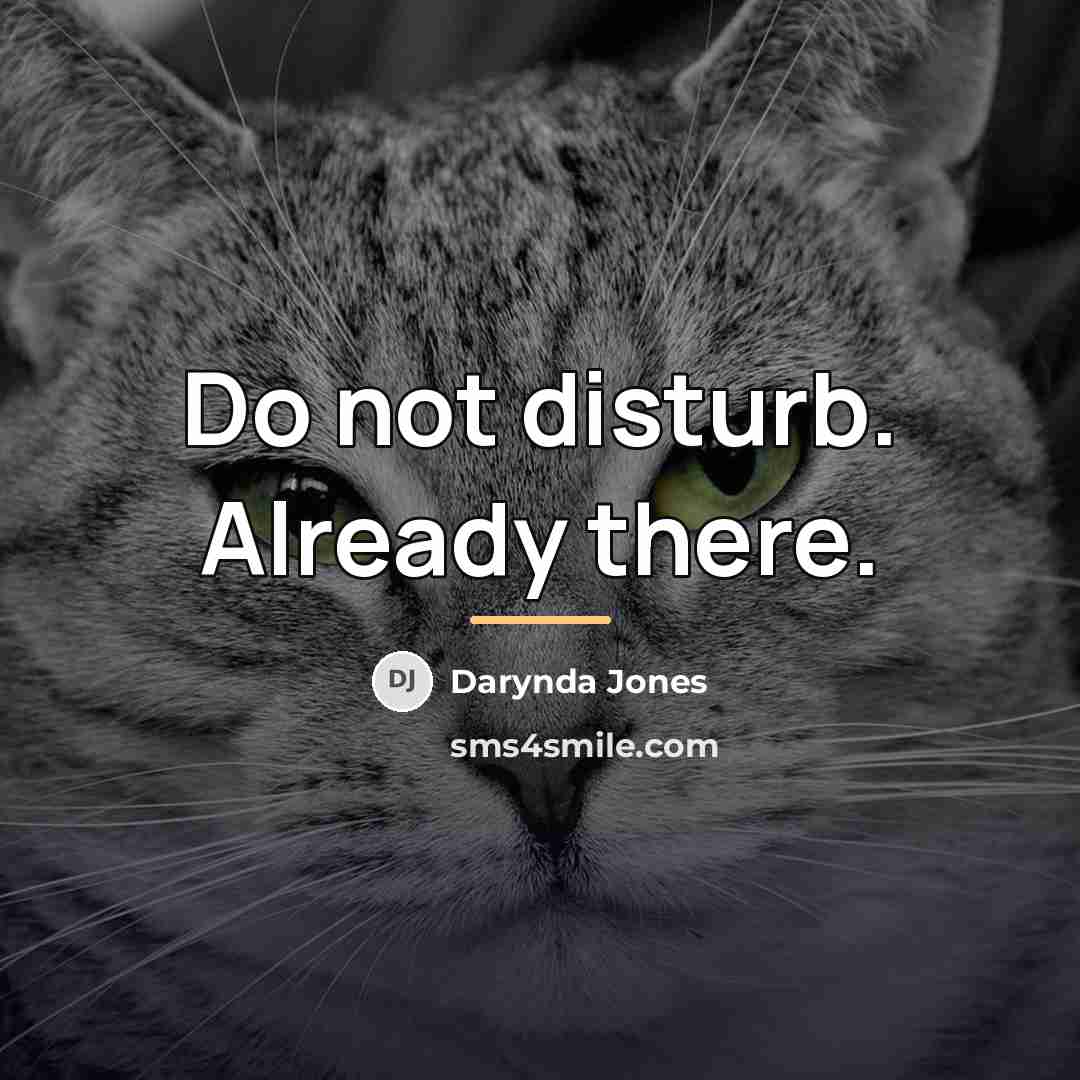 “Do not disturb. Already there.…” quote by Darynda Jones