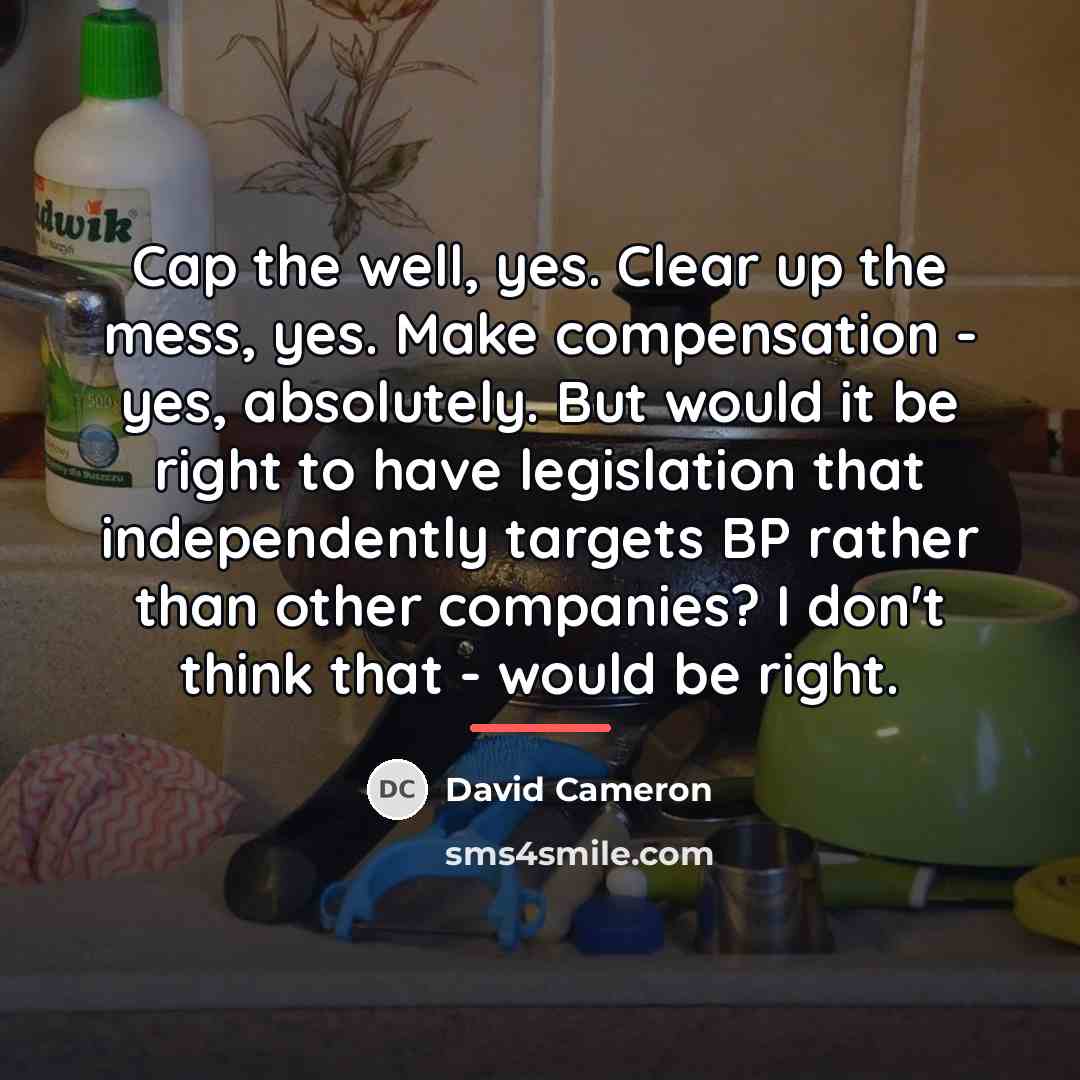 “Cap the well, yes. Clear up the mess, yes. Make…” quote by David Cameron