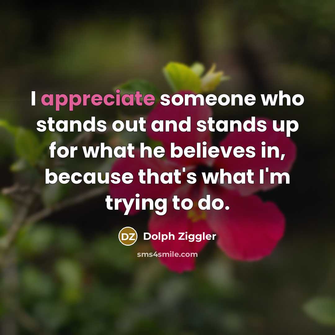 “I appreciate someone who stands out and stands up for…” quote by Dolph Ziggler