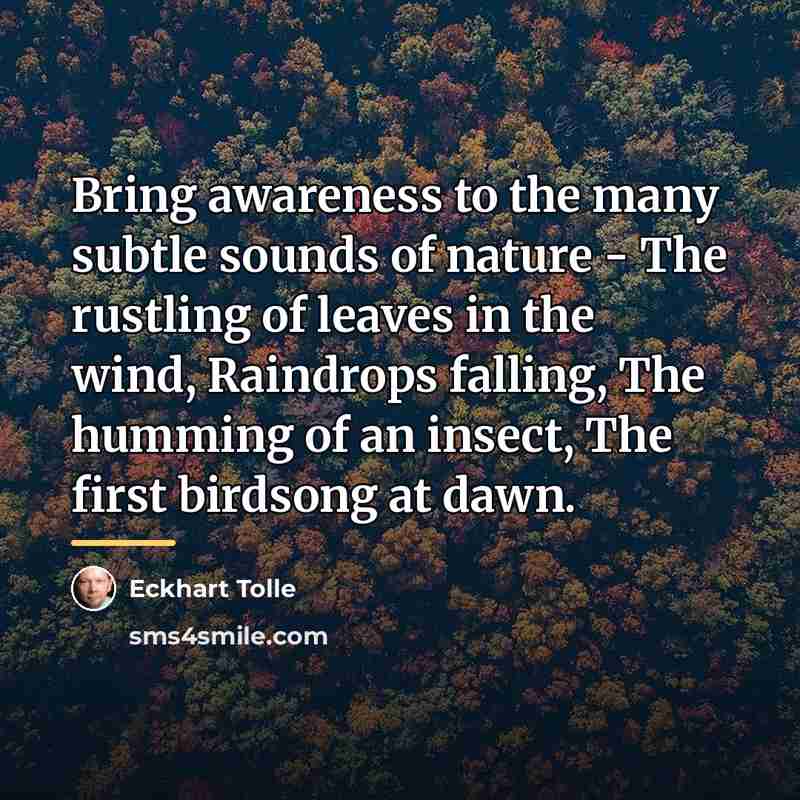 “Bring awareness to the many subtle sounds of nature -…” quote by Eckhart Tolle