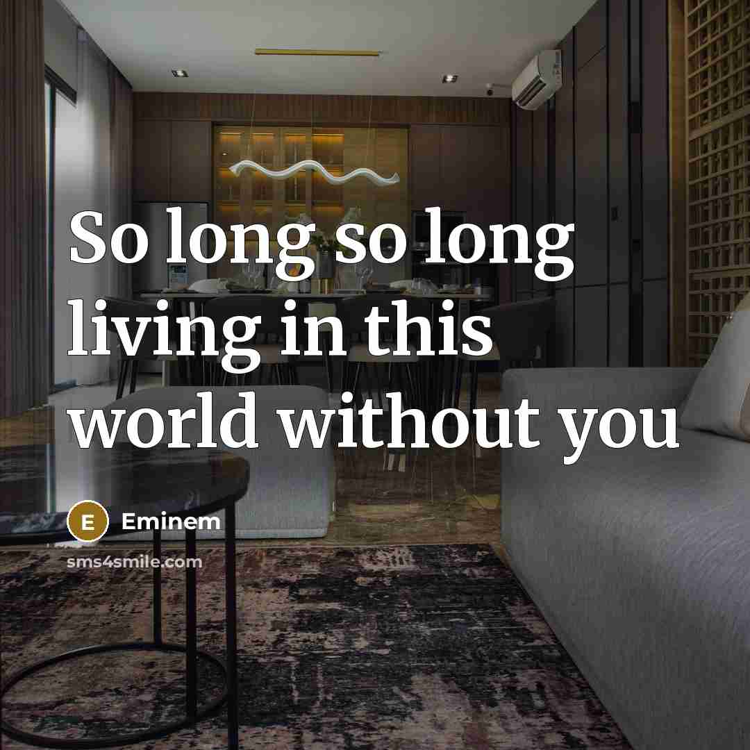 “So long so long living in this world without you…” quote by Eminem