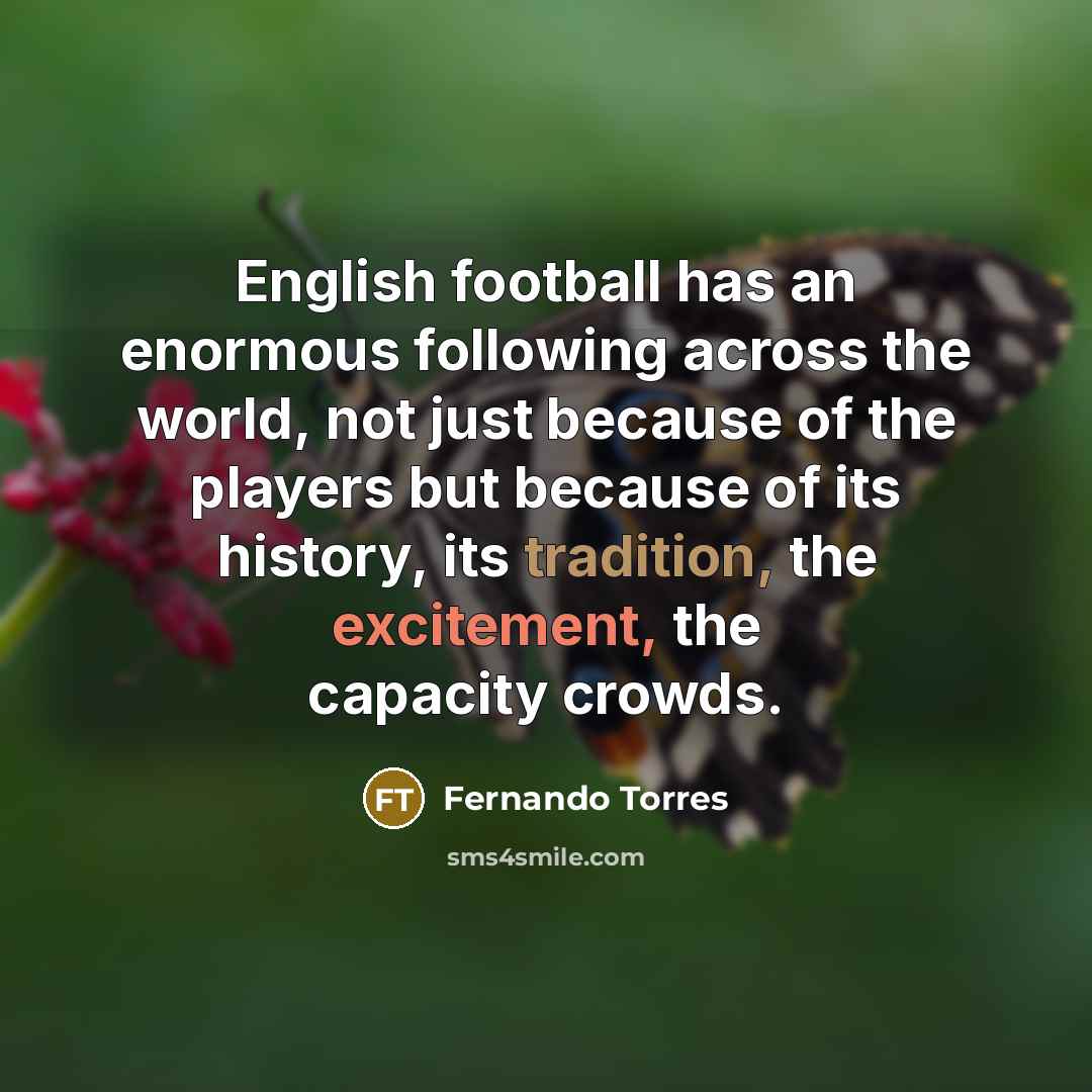“English football has an enormous following across the world, not…” quote by Fernando Torres