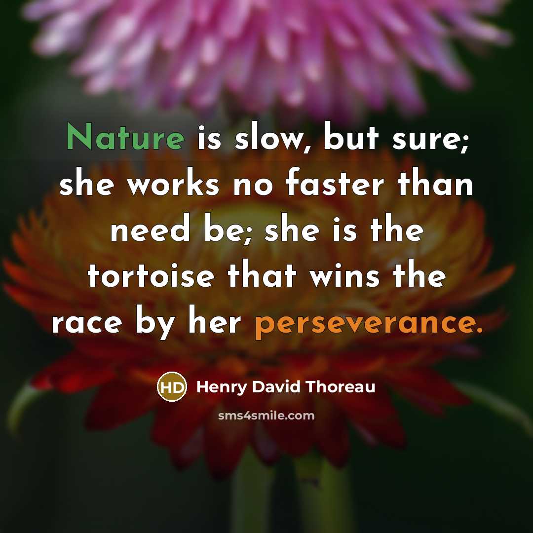 “Nature is slow, but sure; she works no faster than…” quote by Henry David Thoreau