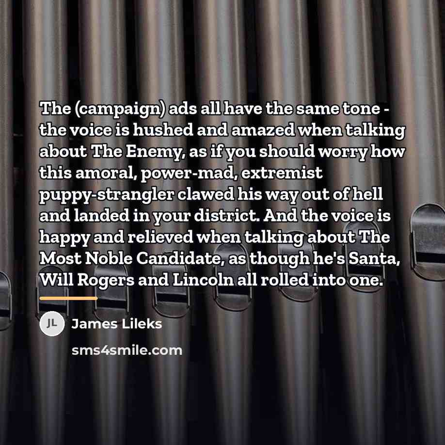“The (campaign) ads all have the same tone - the…” quote by James Lileks