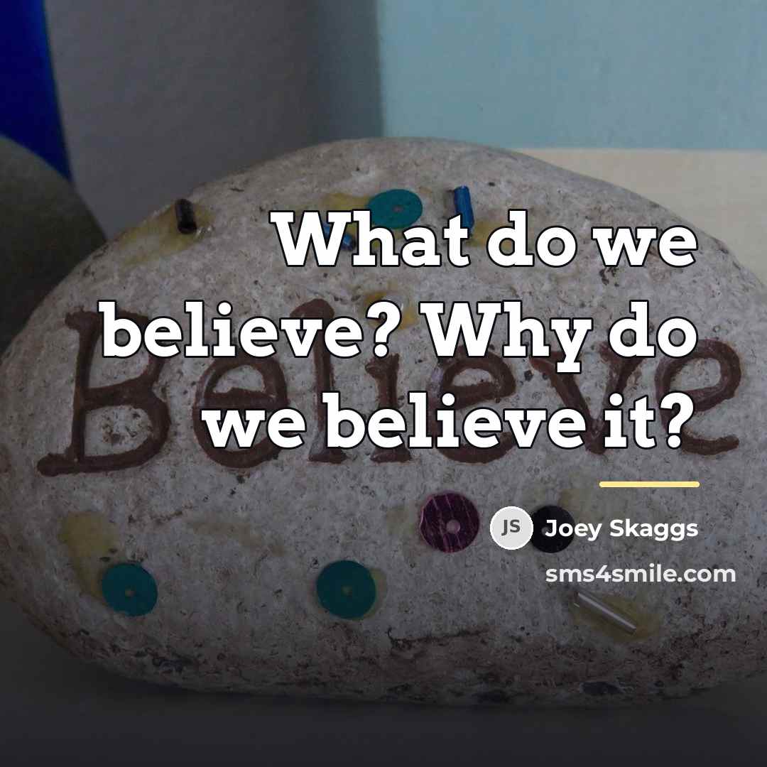 “What do we believe? Why do we believe it?…” quote by Joey Skaggs