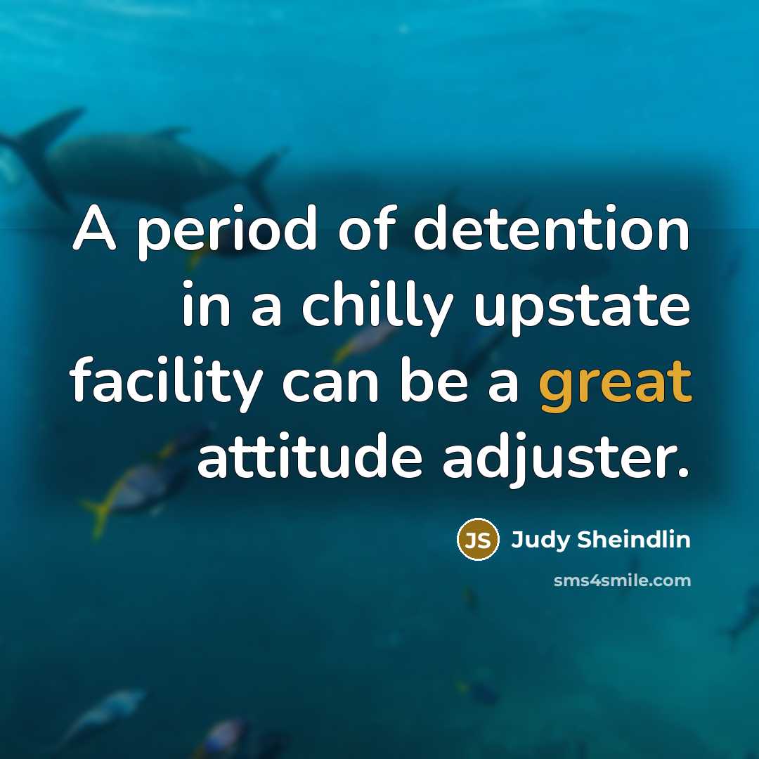 “A period of detention in a chilly upstate facility can…” quote by Judy Sheindlin
