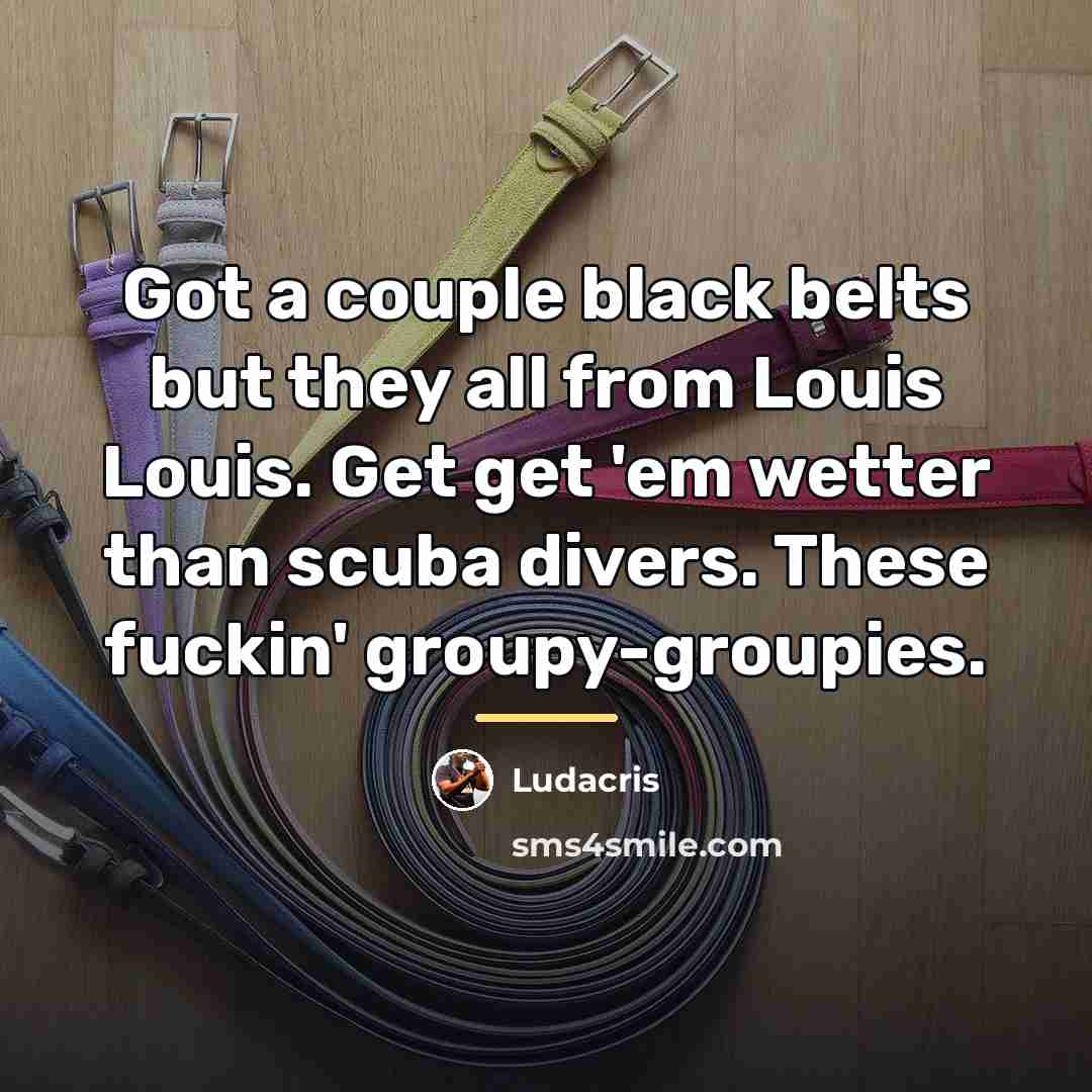 “Got a couple black belts but they all from Louis…” quote by Ludacris