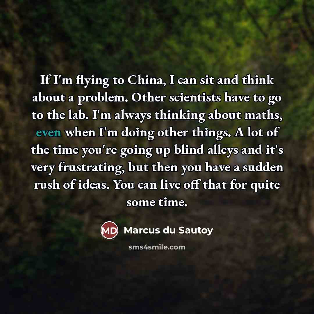 “If I'm flying to China, I can sit and think…” quote by Marcus du Sautoy