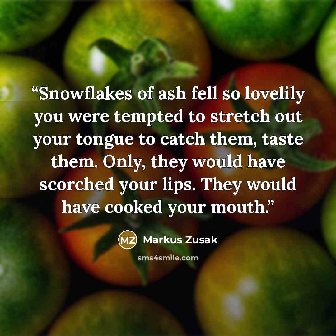 “Snowflakes of ash fell so lovelily you were tempted to stretch out your tongue to catch them, taste them. Only, they would have scorched your lips. They would have cooked your mouth.” quote by Markus Zusak