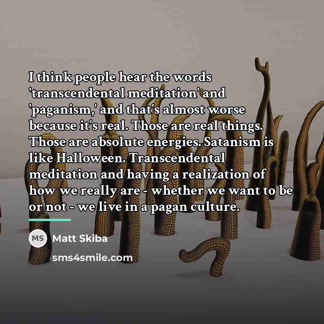 “I think people hear the words 'transcendental meditation' and 'paganism,'…” quote by Matt Skiba