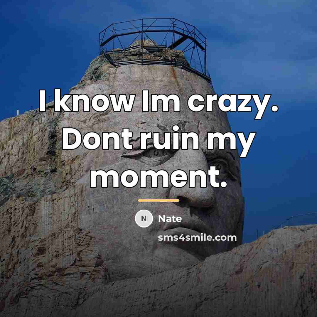 “I know Im crazy. Dont ruin my moment.…” quote by Nate