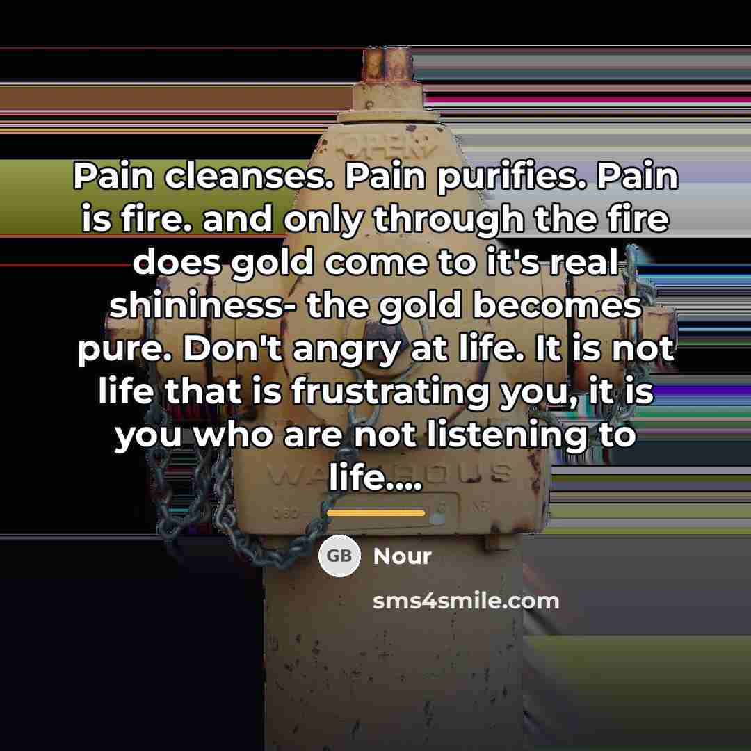 “Pain cleanses. Pain purifies. Pain is fire. and only through…” quote by Nour