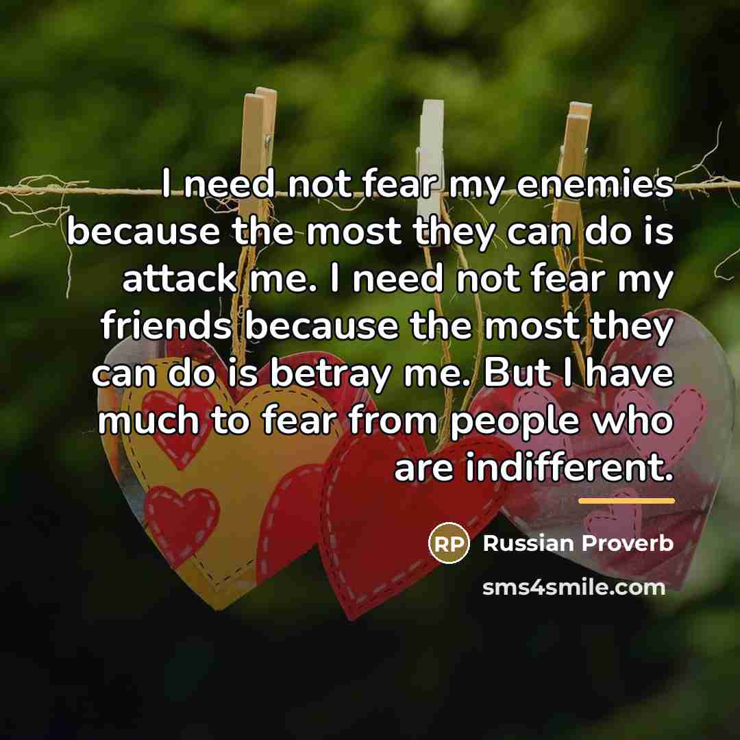 “I need not fear my enemies because the most they…” quote by Russian Proverb
