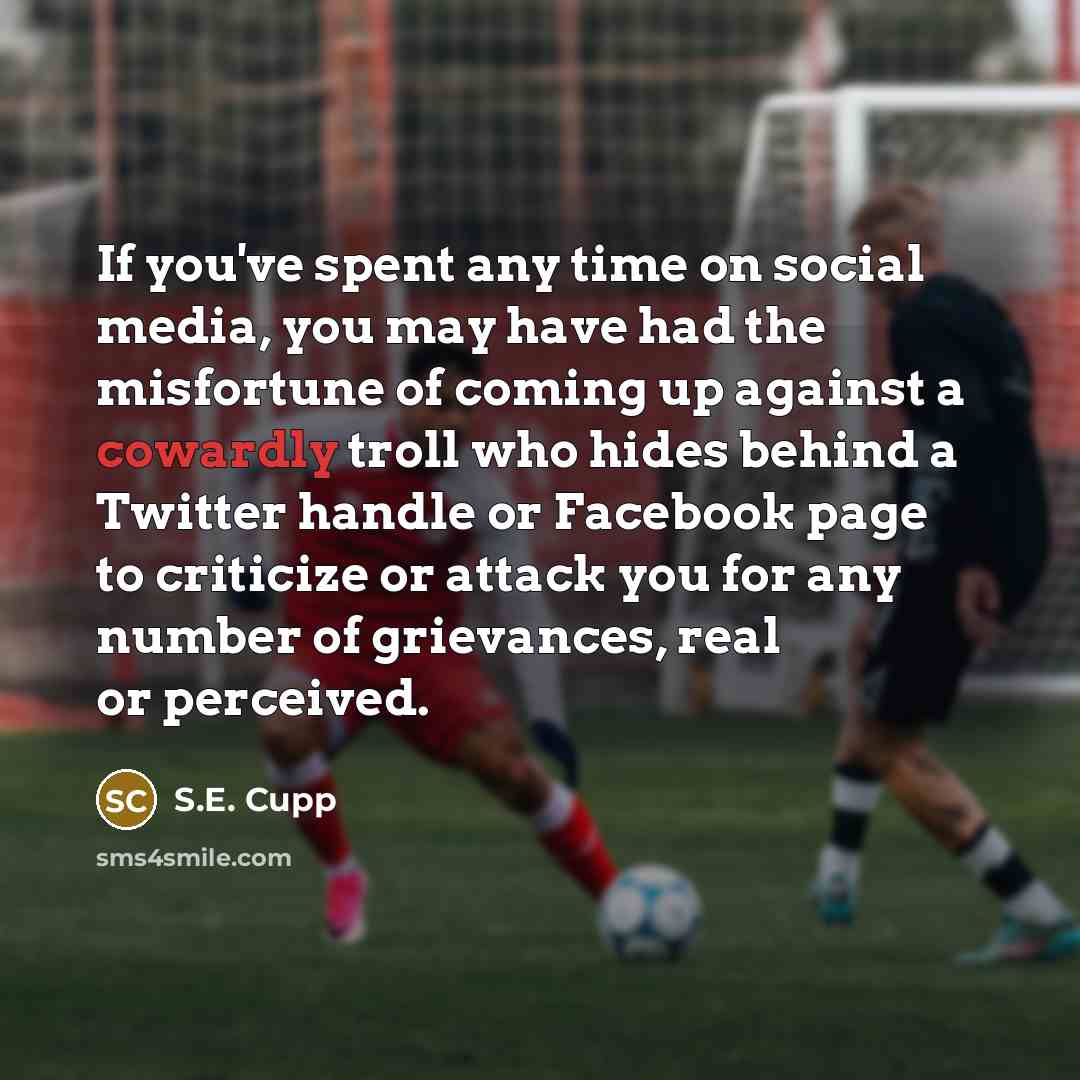 “If you've spent any time on social media, you may…” quote by S.E. Cupp