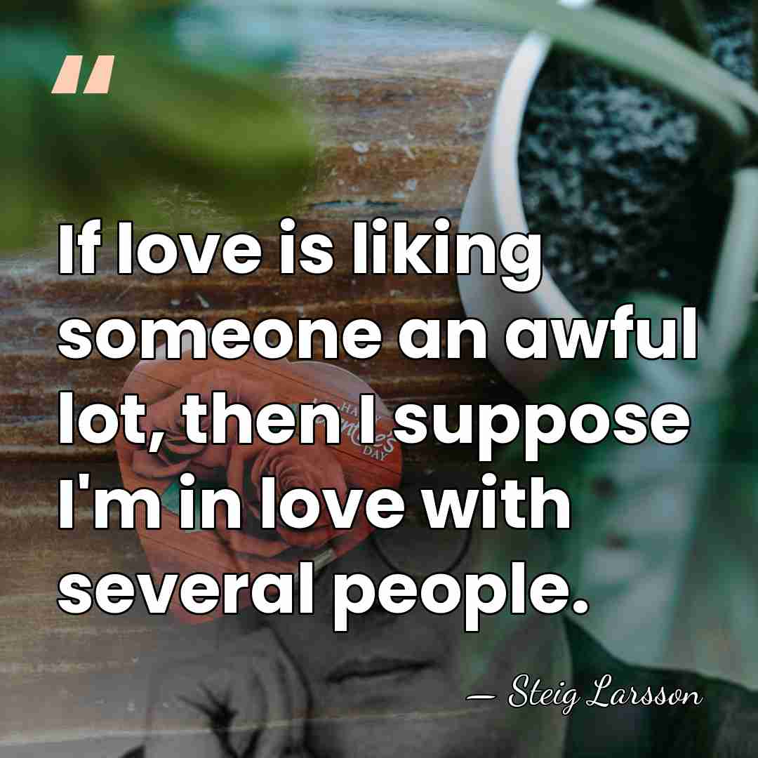 If love is liking someone an awful lot, then I suppose I'm&hellip; - Steig Larsson
