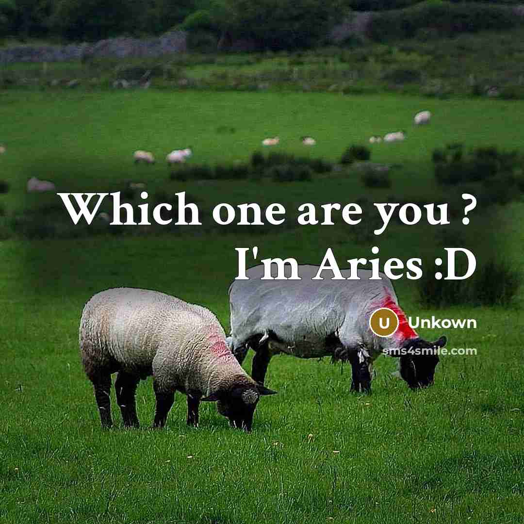 “Which one are you ? I'm Aries :D…” quote by Unkown