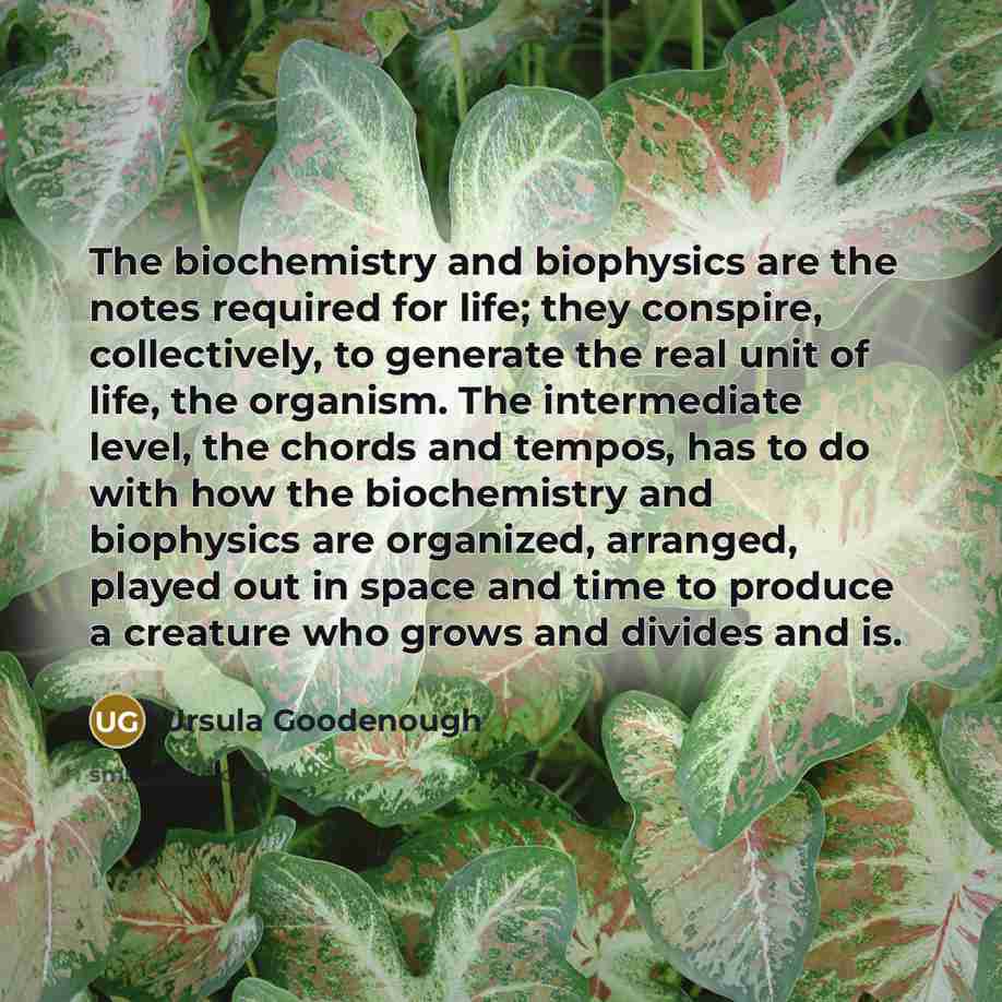 “The biochemistry and biophysics are the notes required for life;…” quote by Ursula Goodenough