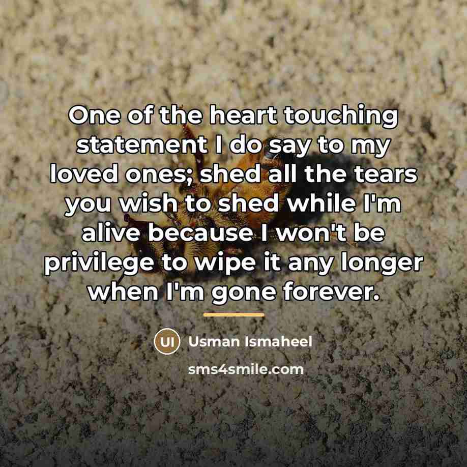 “One of the heart touching statement I do say to…” quote by Usman Ismaheel
