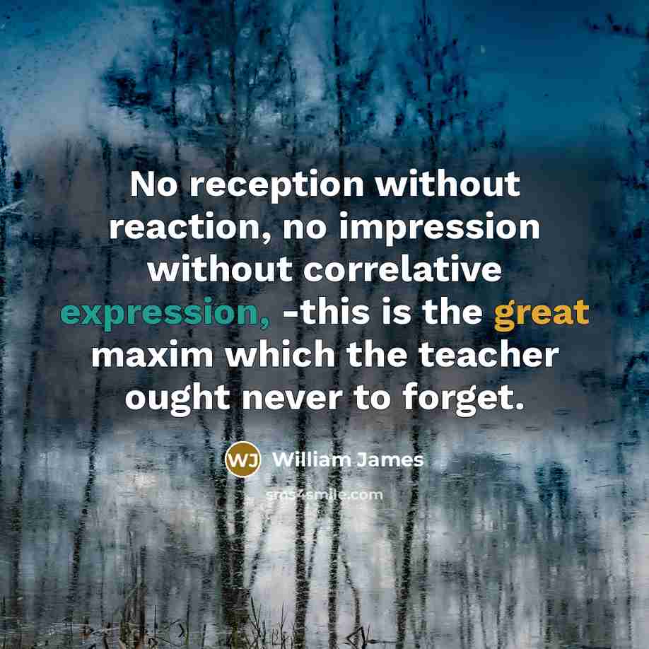 “No reception without reaction, no impression without correlative expression, -this is the great maxim which the teacher ought never to forget.” quote by William James