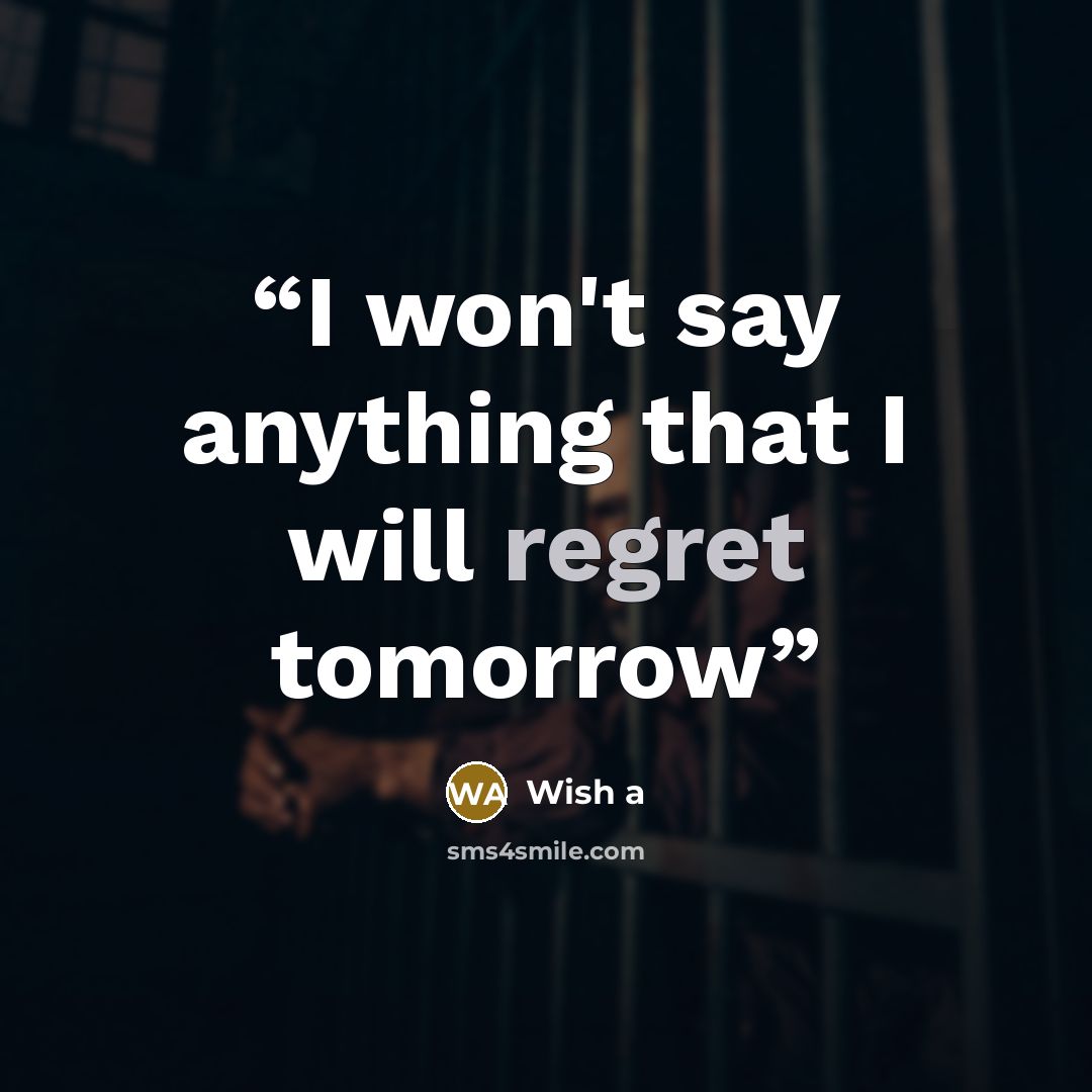 “I won't say anything that I will regret tomorrow” quote by Wish a