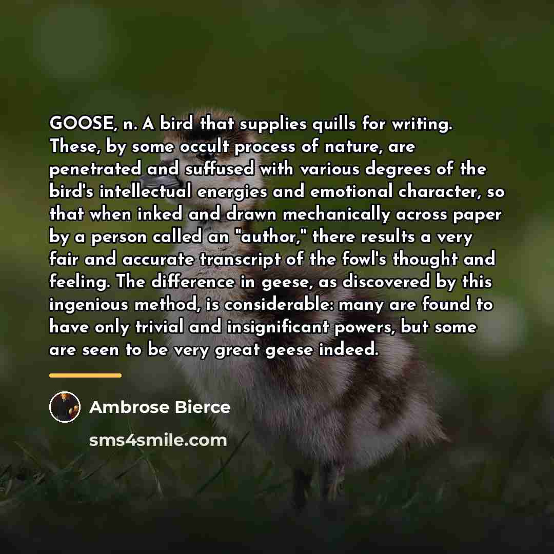 “GOOSE, n. A bird that supplies quills for writing. These,…” quote by Ambrose Bierce