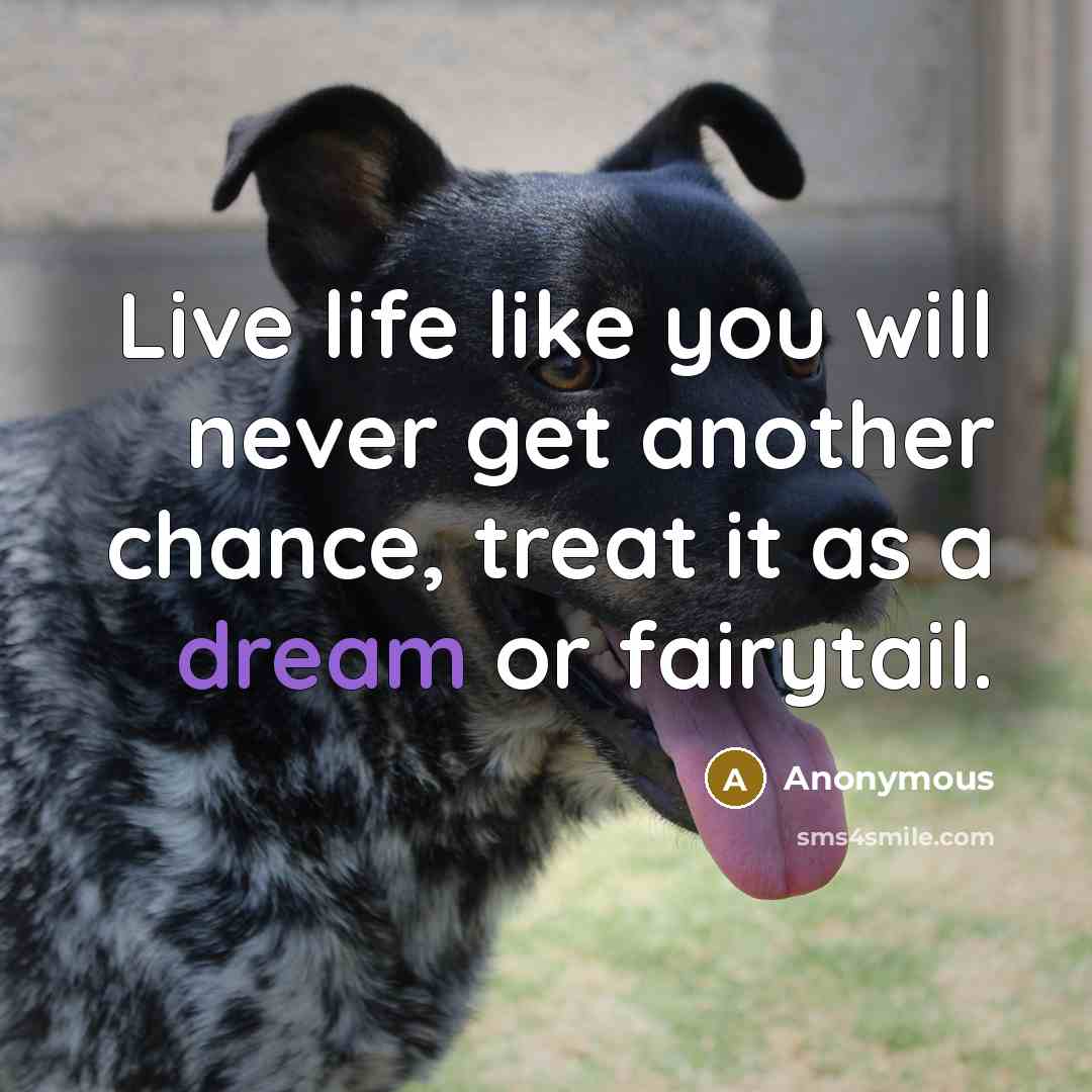 “Live life like you will never get another chance, treat…” quote by Anonymous