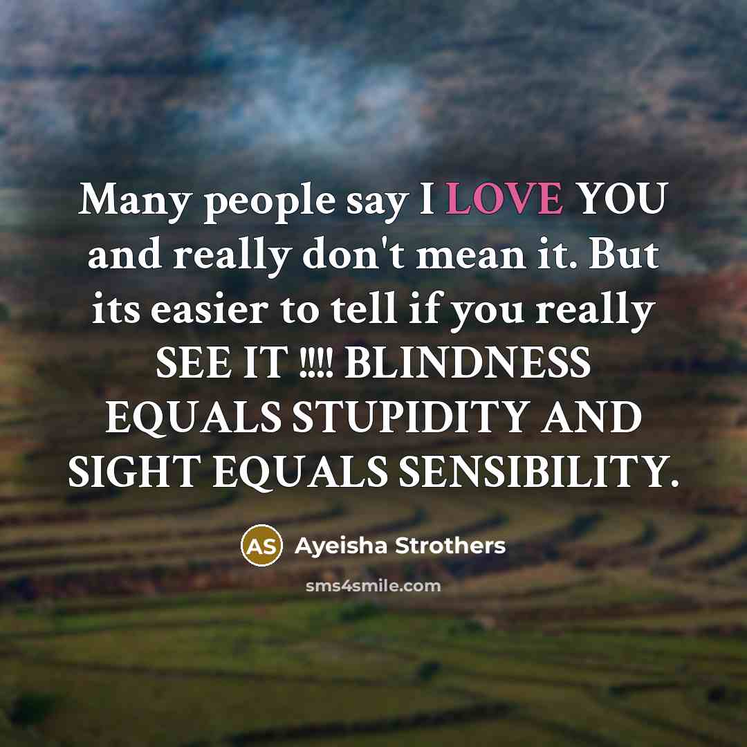 “Many people say I LOVE YOU and really don't mean it. But its easier to tell if you really SEE IT !!!! BLINDNESS EQUALS STUPIDITY AND SIGHT EQUALS SENSIBILITY.” quote by Ayeisha Strothers
