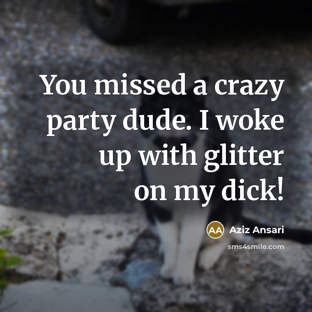 “You missed a crazy party dude. I woke up with glitter on my dick!” quote by Aziz Ansari