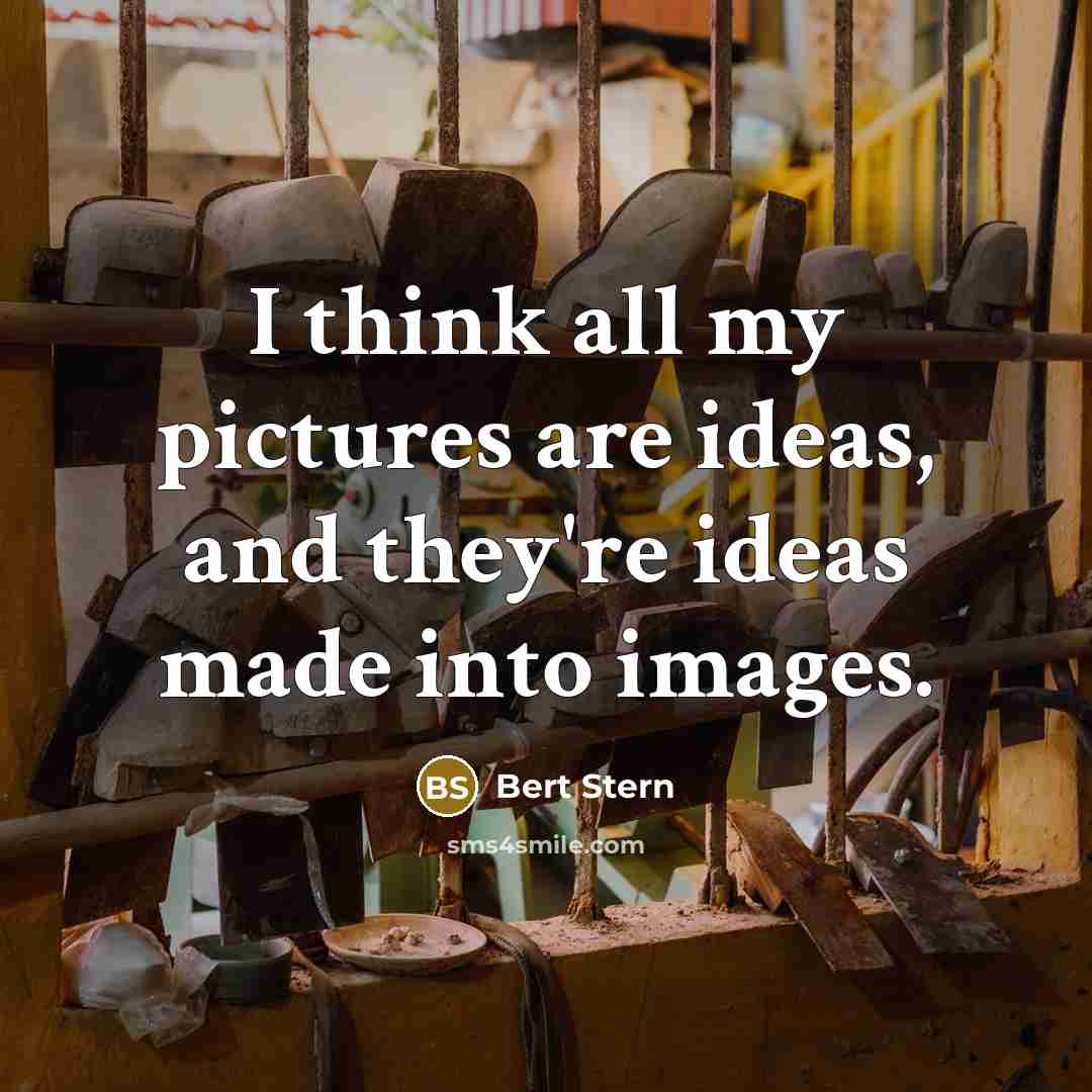 “I think all my pictures are ideas, and they're ideas…” quote by Bert Stern