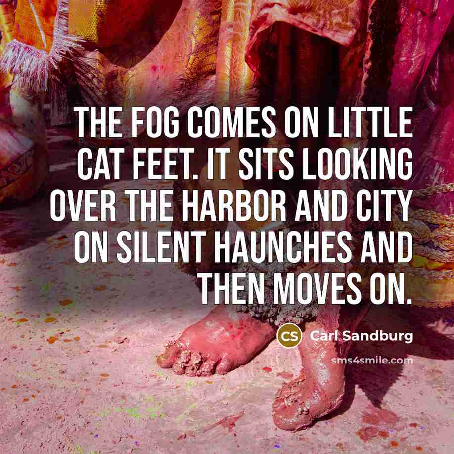 “The fog comes on little cat feet. It sits looking…” quote by Carl Sandburg