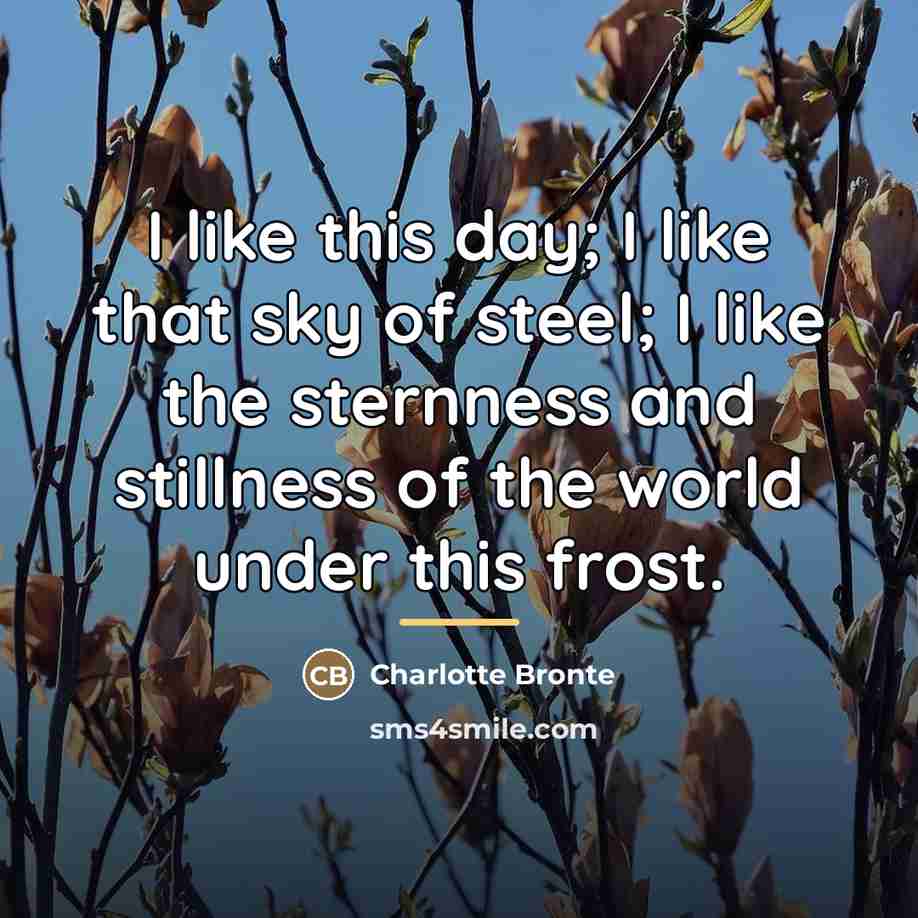 “I like this day; I like that sky of steel;…” quote by Charlotte Bronte