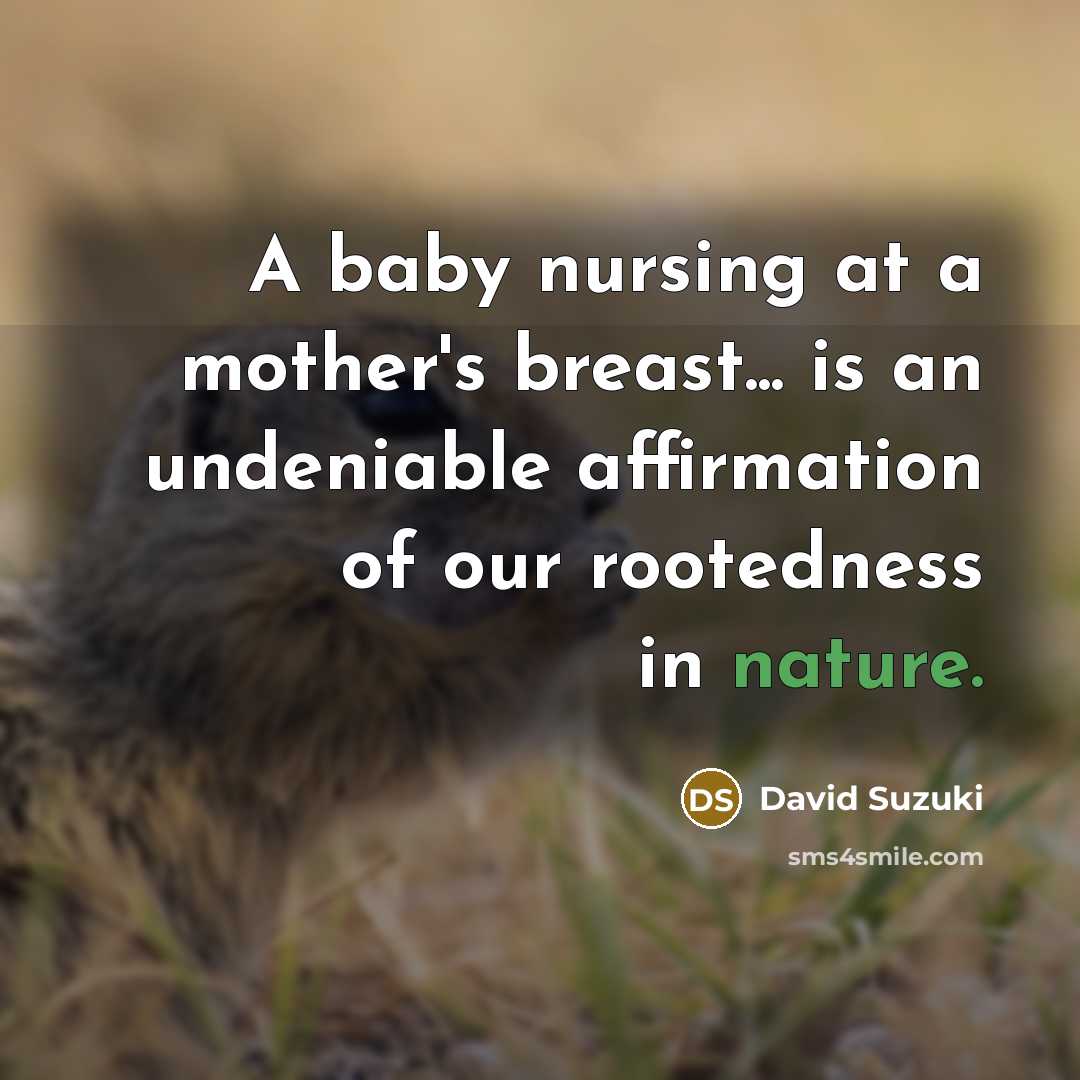 “A baby nursing at a mother's breast... is an undeniable…” quote by David Suzuki
