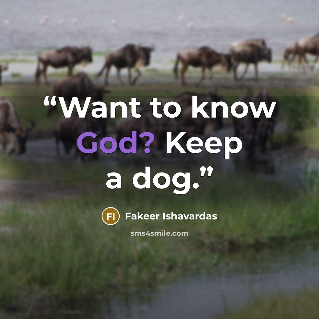 “Want to know God? Keep a dog.” quote by Fakeer Ishavardas
