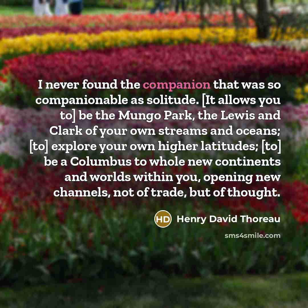 “I never found the companion that was so companionable as…” quote by Henry David Thoreau