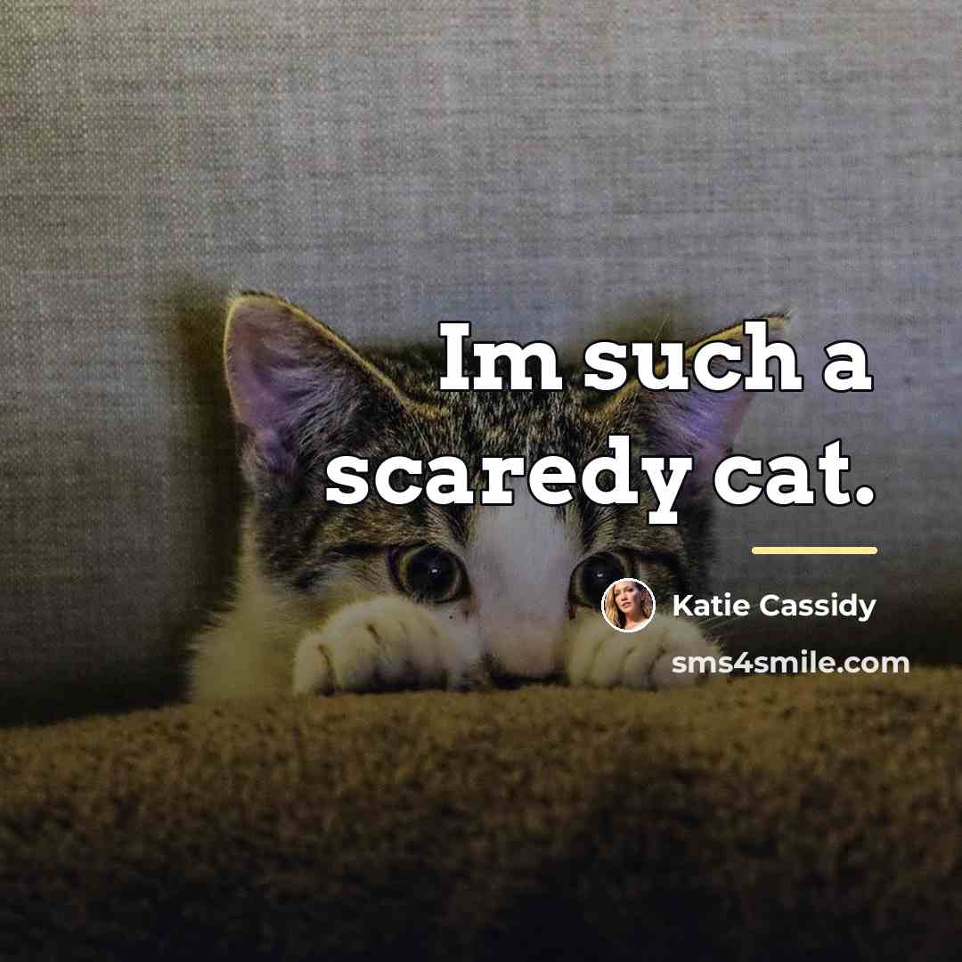 “Im such a scaredy cat.…” quote by Katie Cassidy