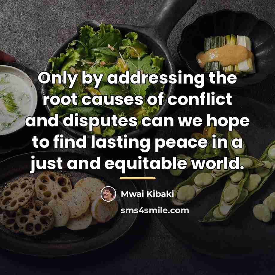 “Only by addressing the root causes of conflict and disputes…” quote by Mwai Kibaki